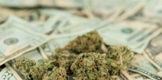 Adding To The Turmoil For The Marijuana Industry – Federal District Attorney For Southern District Of California Endorses Attorney General Sessions’ Revocation Of The Cole Memo - Cannabis industry