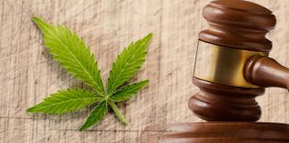 Voters In 2018 Overwhelmingly Approve Legalization Of Cannabis. - Medical cannabis
