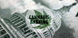 cannabis marijuana bank & banking, cannabis tax law attorney