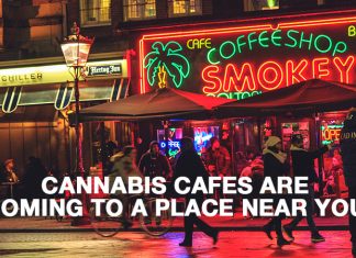 cannabis cafe