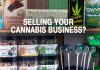 Top Tips When Selling Your Cannabis Business