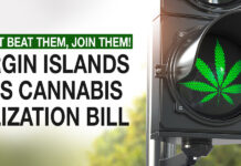 US Virgin Islands Passes Cannabis Legalization Bill