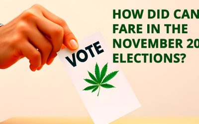 How Did Cannabis Fare In The November 2024 Elections?