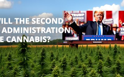 How Will The Second Trump Administration Handle Cannabis?