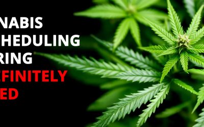 Cannabis Rescheduling Hearing Indefinitely Stayed