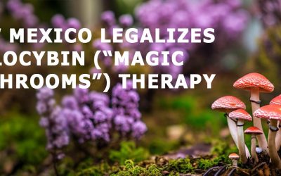 New Mexico Legalizes Psilocybin (“Magic Mushrooms”) Therapy